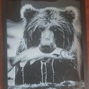 Grizzly Bear Wall Art