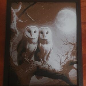 Owl Wall Art