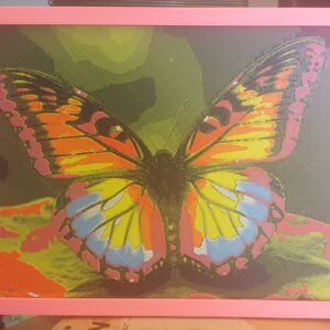 Butterfly Wall Art