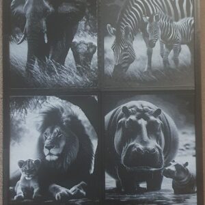 African Animals and there Young