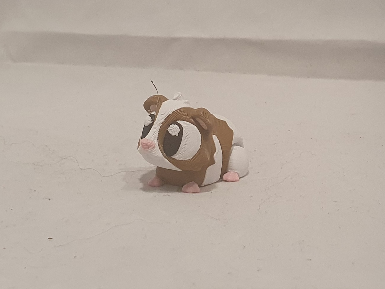 Guinea Pig Showcase - Image 5