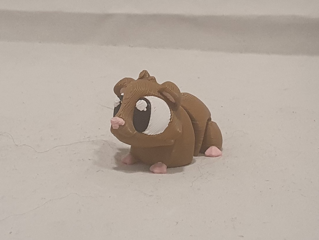 Guinea Pig Showcase - Image 4