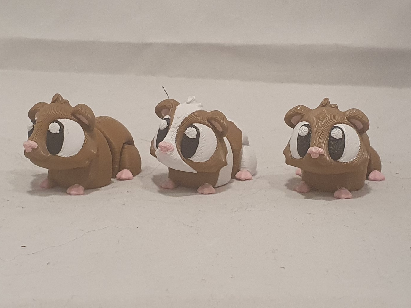 Guinea Pig Showcase - Image 3