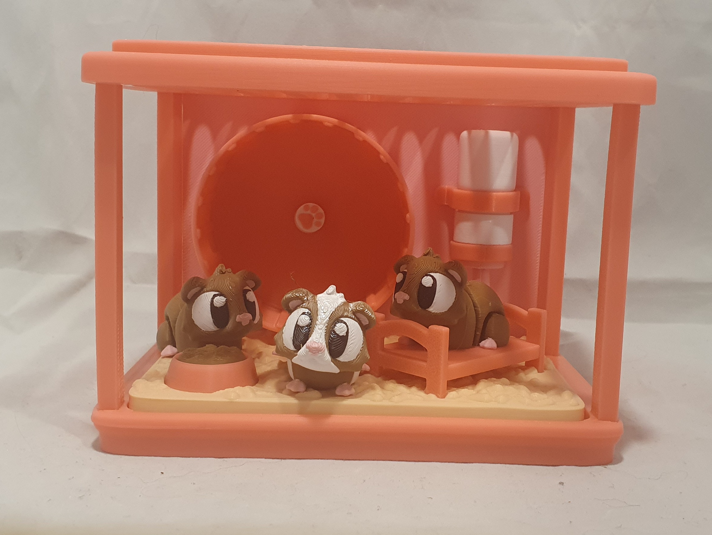 Guinea Pig Showcase